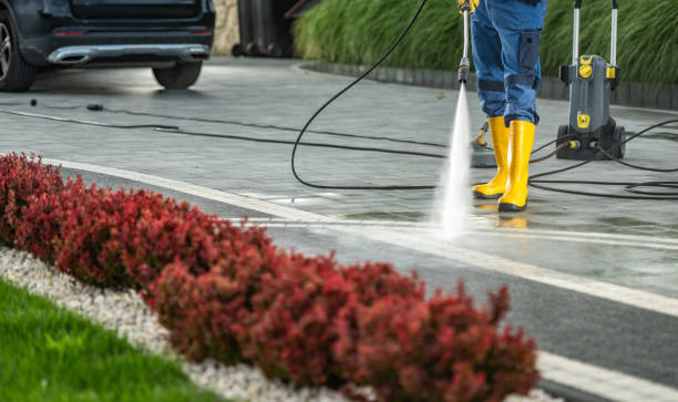 Best Local Pressure Washing Services  in Kingman, AZ